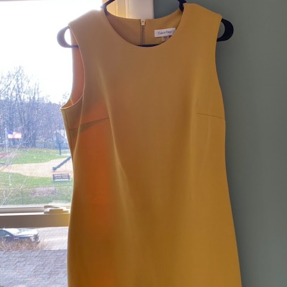 Gold Calvin Klein Business Dress (6)